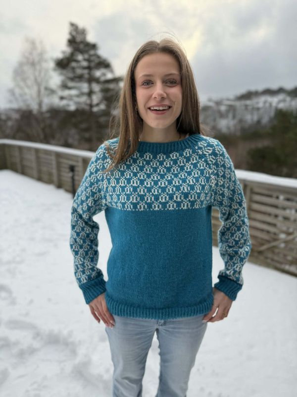 Hattholmen sweater 3