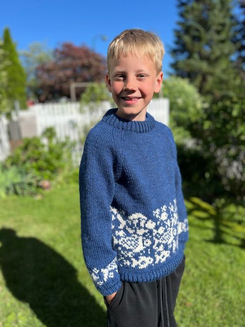 Main Image Shoal of fish sweater