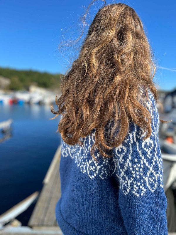 Torsø sweater