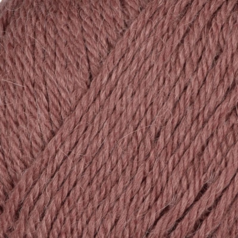 Viking Alpaca Storm