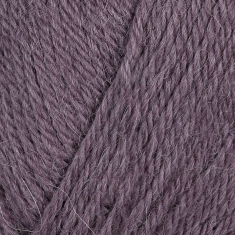Viking Alpaca Storm